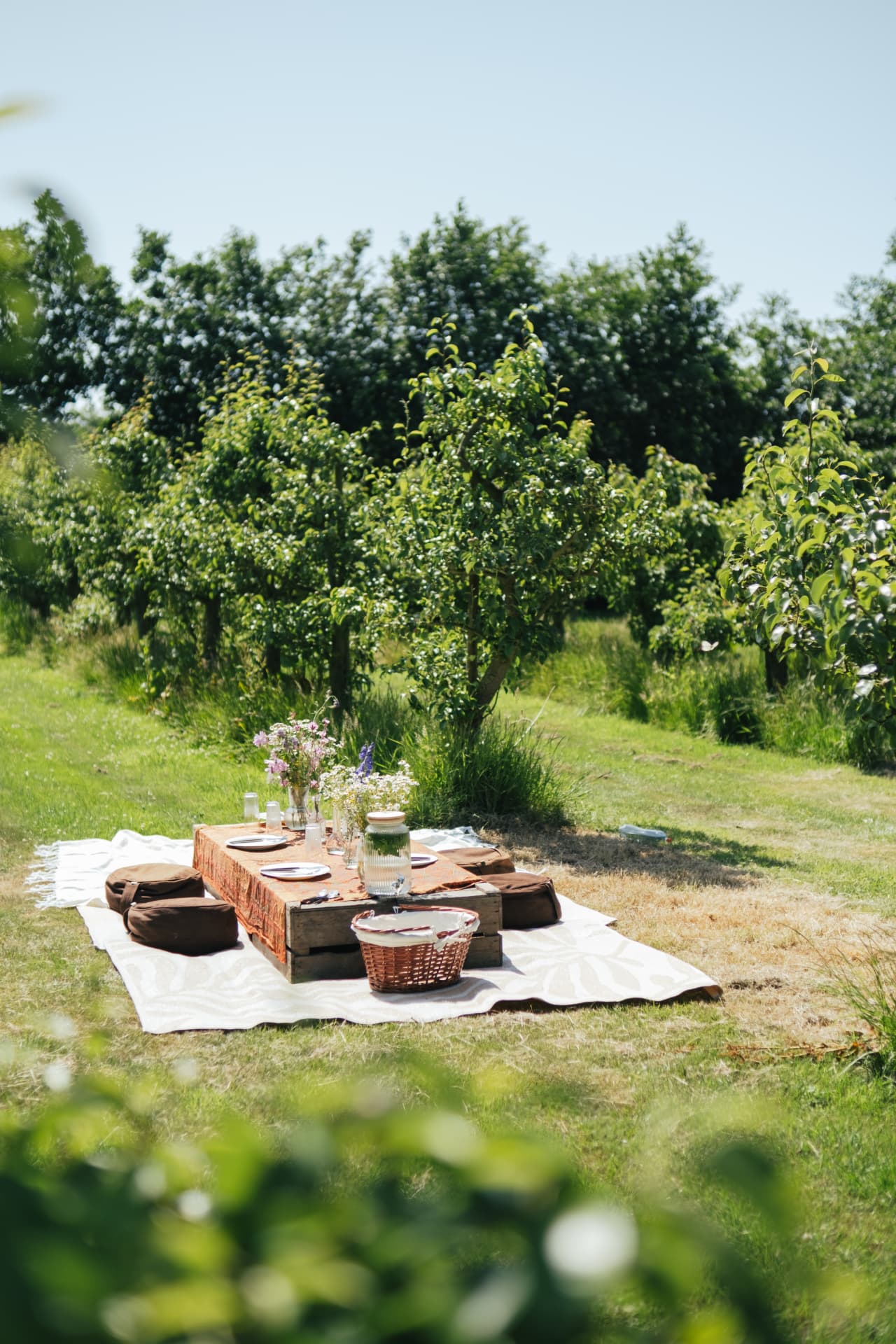 Gedekte lage tafel met veldbloemen tussen de perenbomen